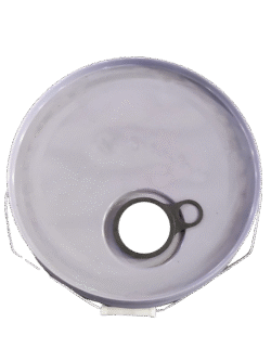 z6719874604443_1cd82e25eab6e19a3b9b00a3749b5567-e1750319781457